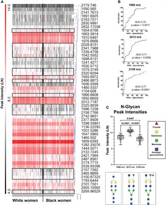 Metabolic Links to Socioeconomic Stresses Uniquely Affecting Ancestry in Normal Breast Tissue at Risk for Breast Cancer